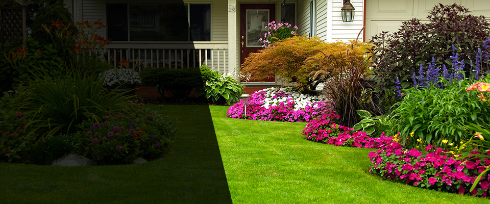 Los Angeles Landscapers