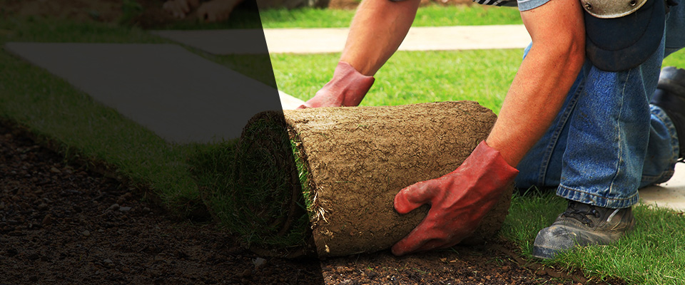 Los Angeles Landscapers